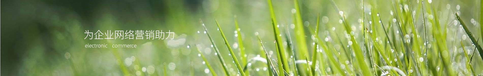 ղ֮Ƽ޹˾